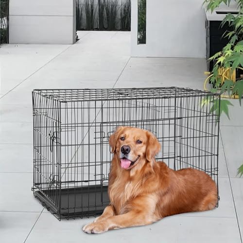 FDW Dog Crate for Large Dogs 48 Inch Folding Metal Wire Cage Double Door N1299