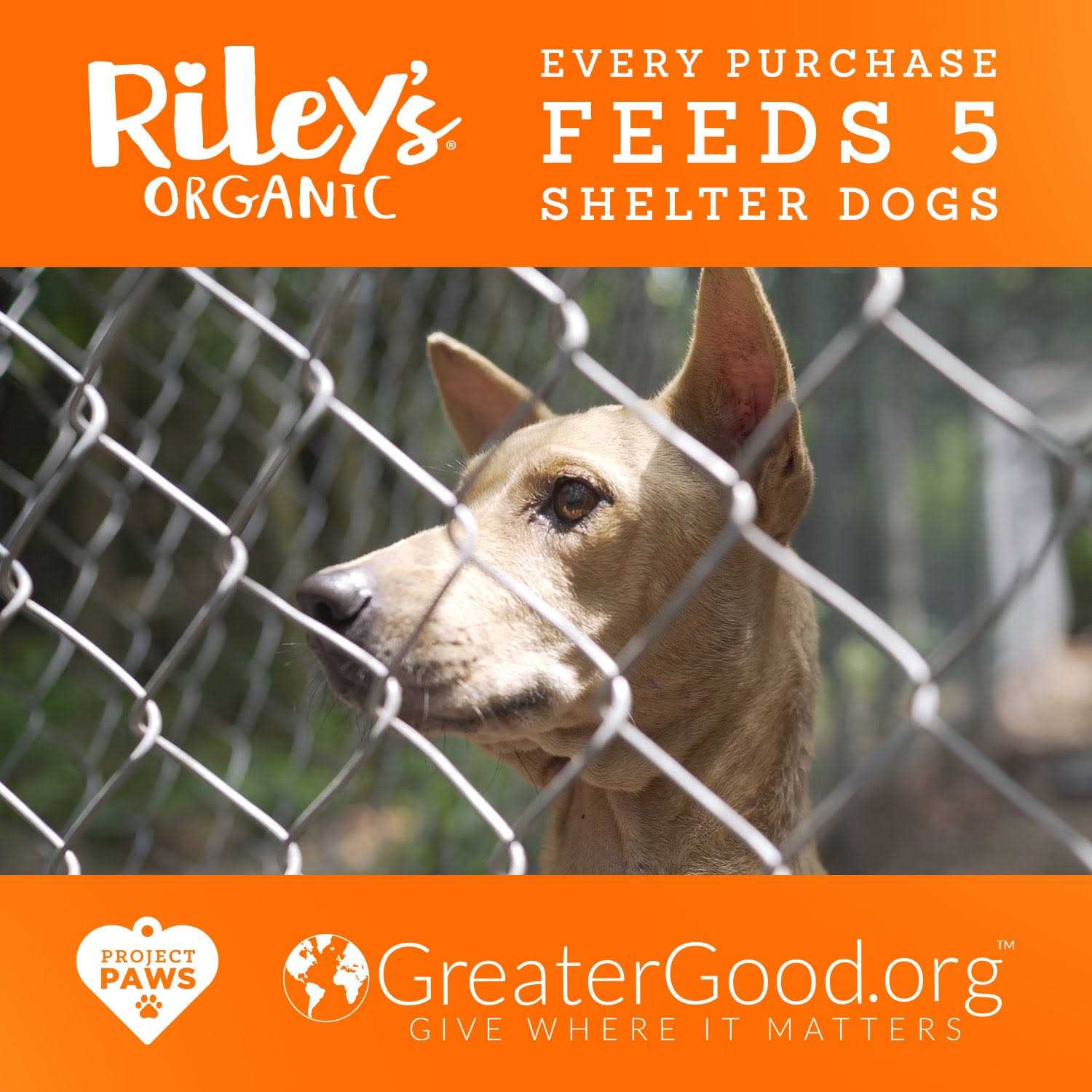 Riley鈥檚 Organics Dog Treats X94272