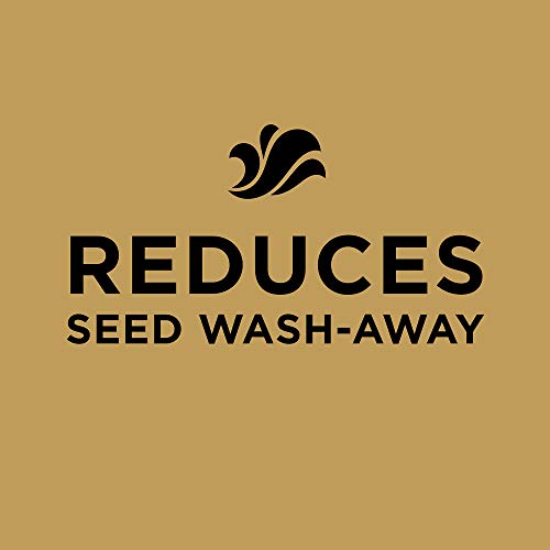 Scotts EZ Seed Patch & Repair Tall Fescue Lawns 10 lb. B1626