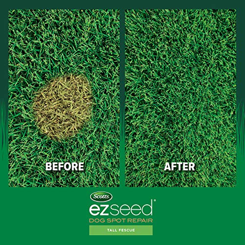 Scotts EZ Seed Patch & Repair Tall Fescue Lawns 10 lb. B1626