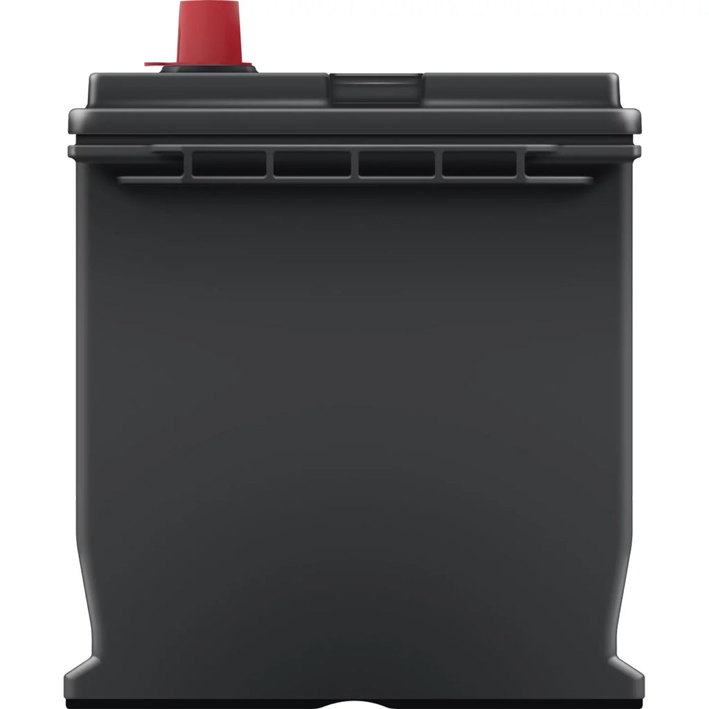 EverStart Maxx Lead Acid Automotive Battery Group Size 124R 12V 700 CCA M7057