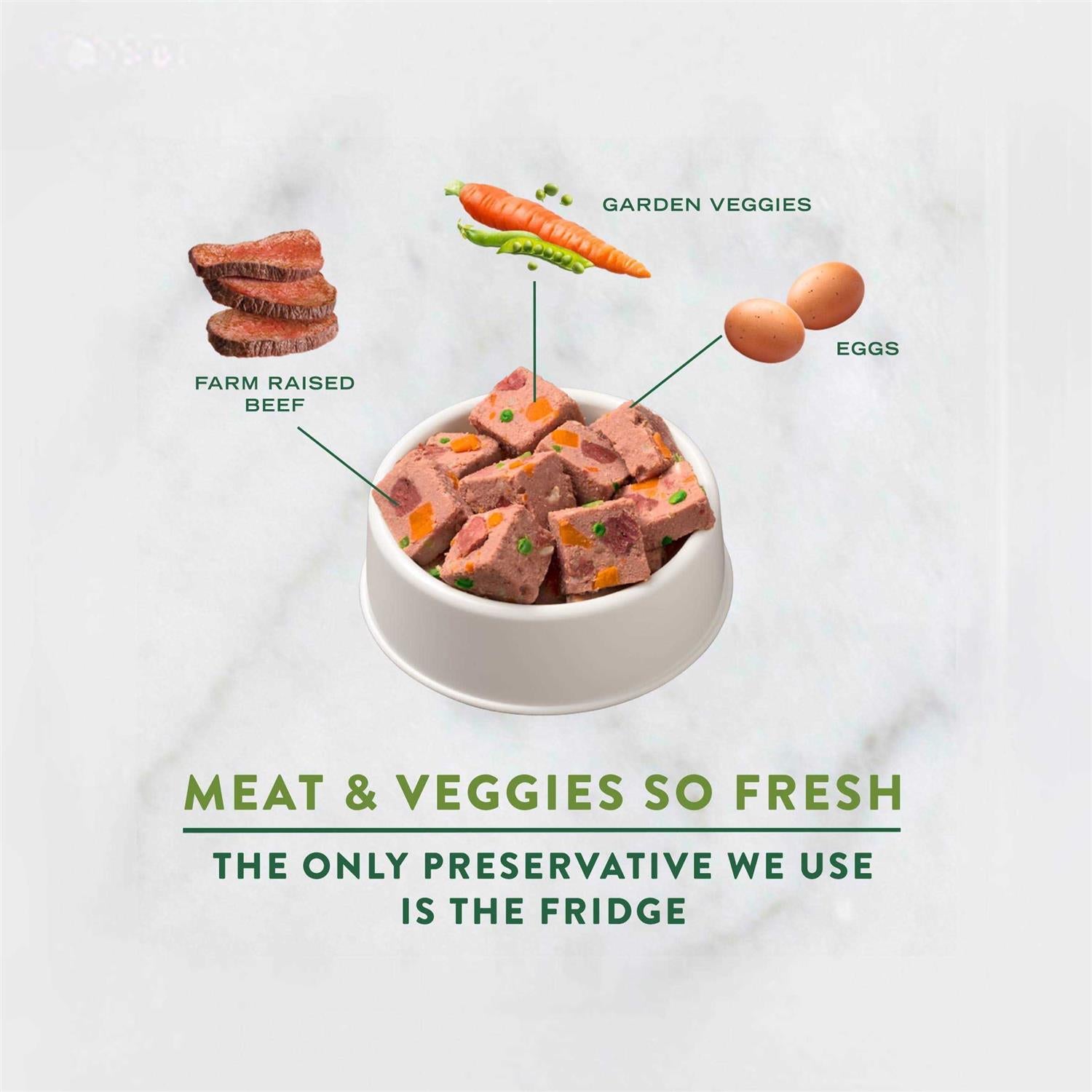 Freshpet Dog Food Chunky Beef Recipe S5859