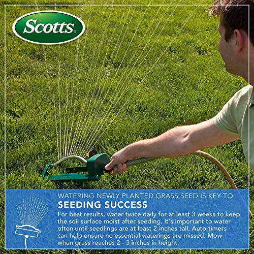 Scotts EZ Seed Patch & Repair Tall Fescue Lawns 10 lb. B1626