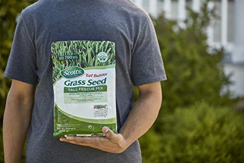 Scotts Turf Builder Tall Fescue Grass Seed Mix with Fertilizer, 5.6 lbs Z3696
