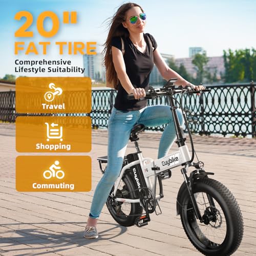 Folding Electric Bike 1000W 48V 20AH Removable Battery 20" Fat Tire for Adults C847123