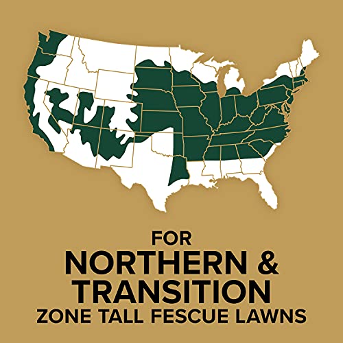 Scotts EZ Seed Patch & Repair Tall Fescue Lawns 10 lb. B1626