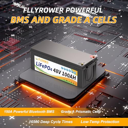 FLLYROWER 12V 100Ah LiFePO4 Battery with BMS for Marine RV Solar I833
