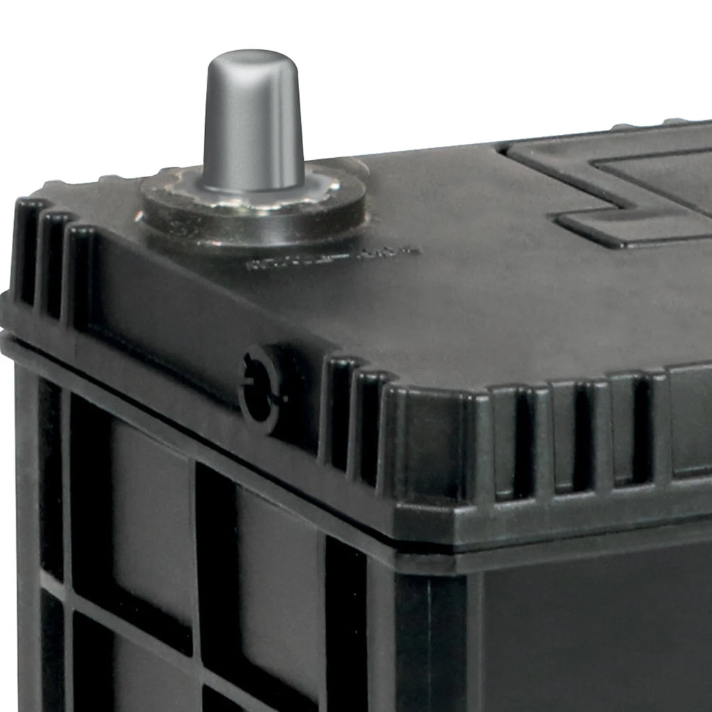 EverStart Platinum AGM Automotive Battery Group S46B24R 12V 410 CCA N719872