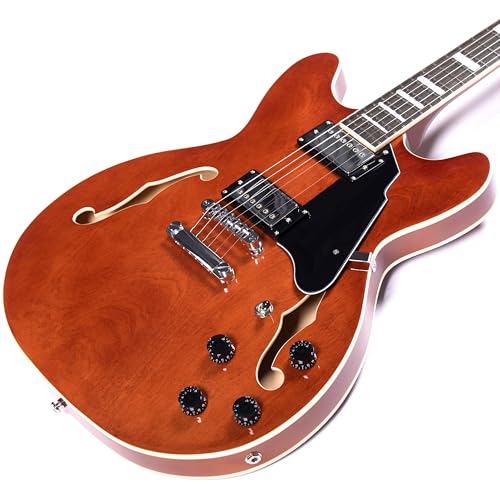 Redid Semi-Hollow Body Electric Guitar RD-100 with F-Hole, Maple Neck, Humbucker Pickups G2932