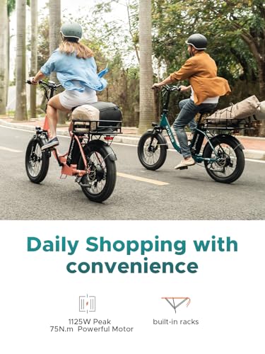 ENGWE L20 2.0 Electric Bike for Adults, 20" Fat Tire, Removable Battery T679486