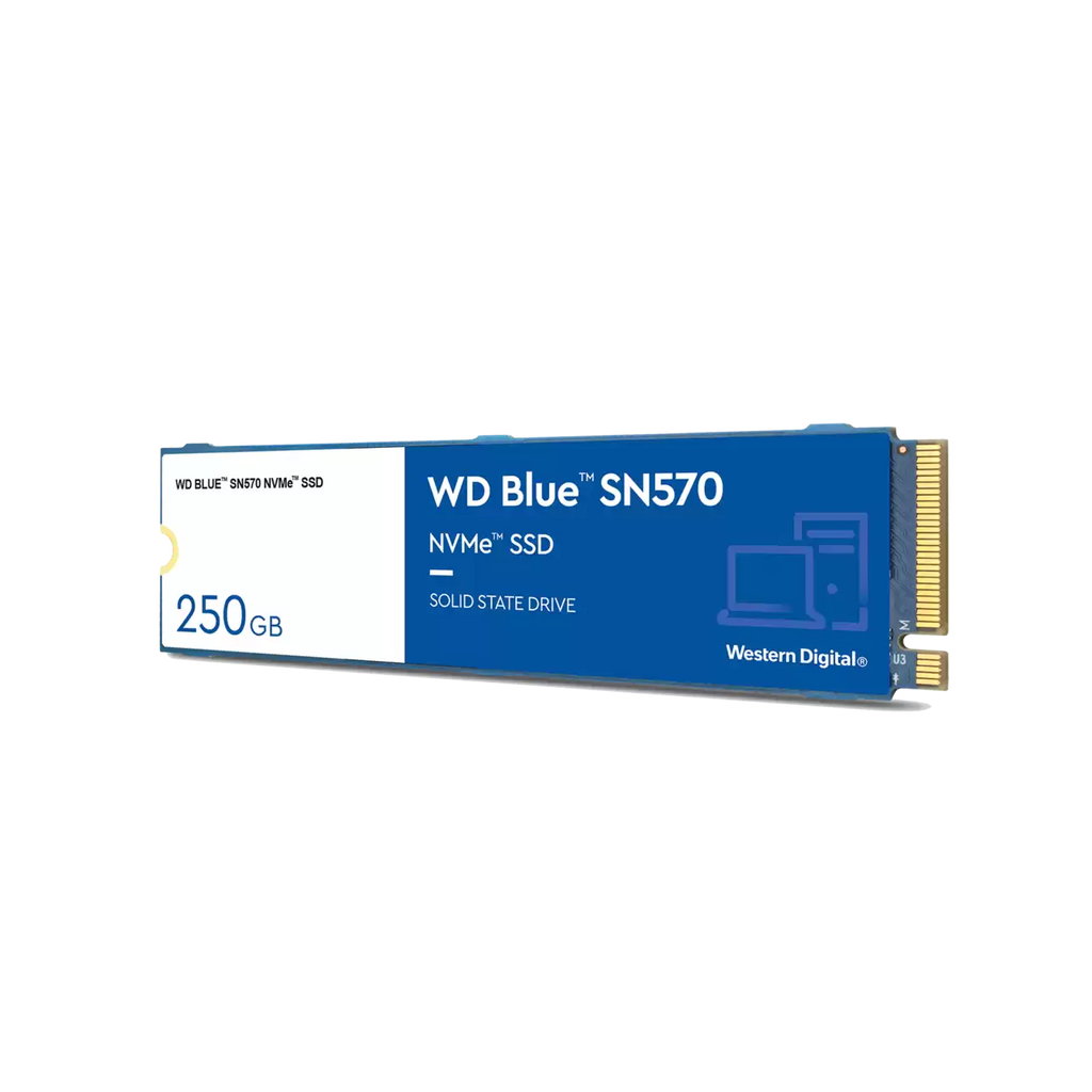 WD Blue SN570 500GB NVMe SSD R555