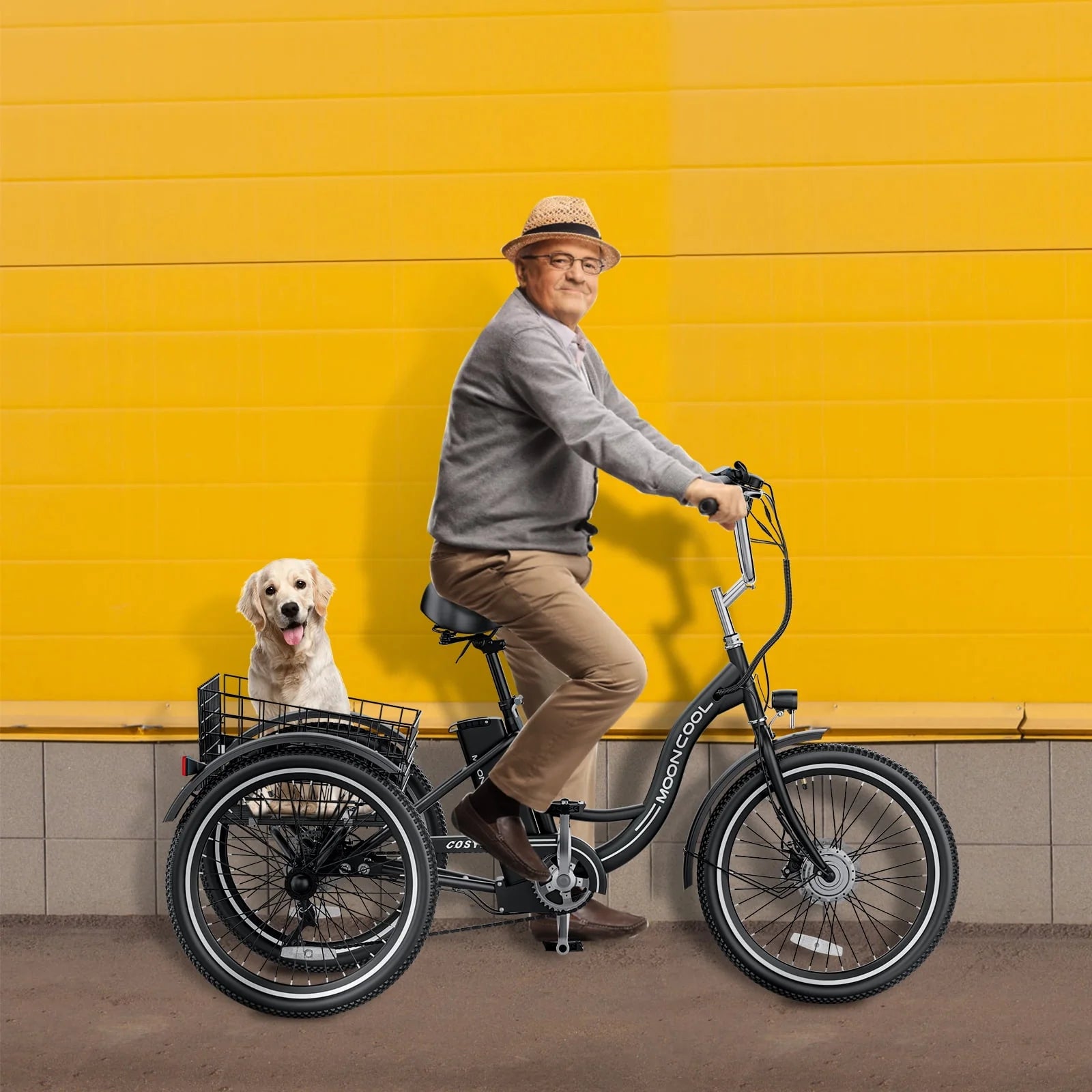 Lilypelle Adult Electric Tricycle 3-Wheel Bike for Seniors E1378