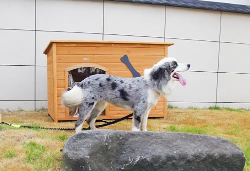 Wooden Doghouse for Small to Large Dogs, Waterproof, Elevated Floor B161