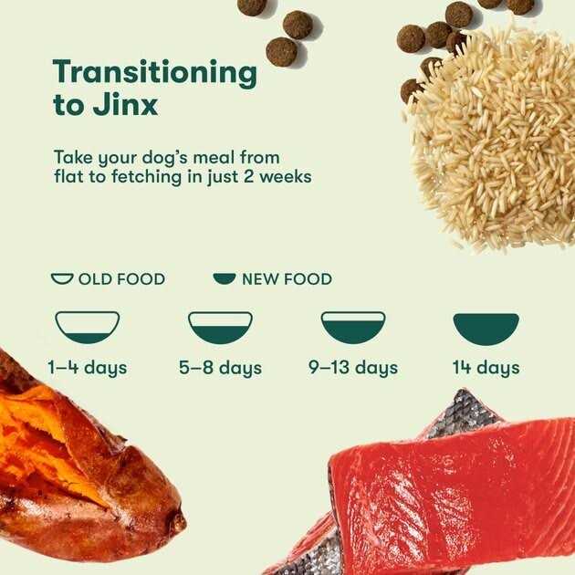 Jinx Salmon Brown Rice & Sweet Potato Dry Dog Food I652863