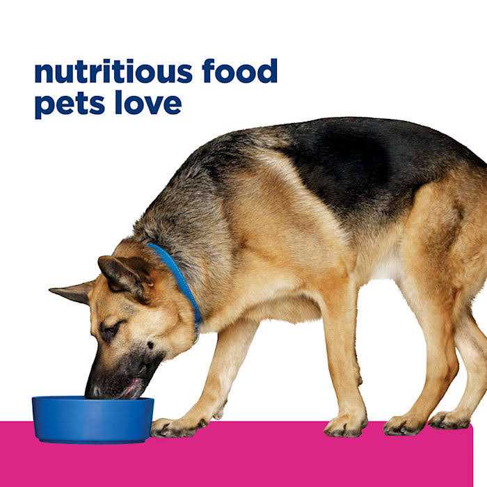 Hill’s Prescription Diet Gastrointestinal Biome Chicken & Vegetable Stew Wet Dog Food F942653