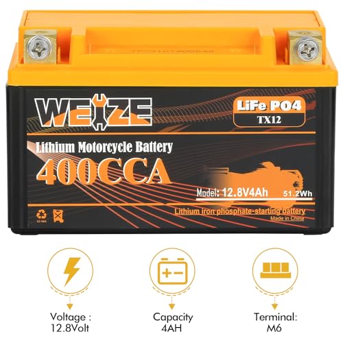 Weize Lithium YTX30L-BS 12V 10AH LiFePO4 Motorcycle Battery with Smart BMS E599001