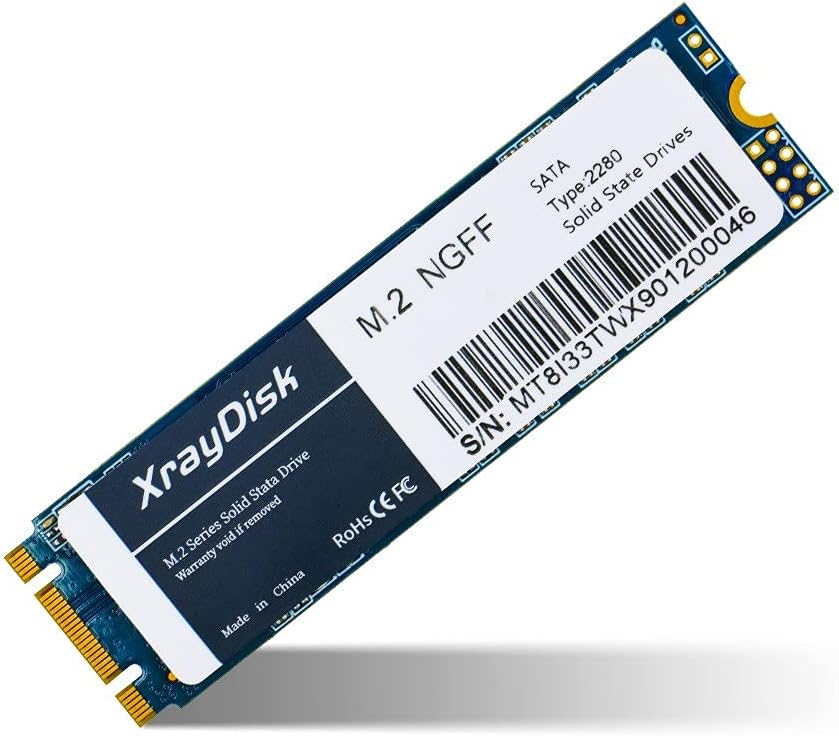 XrayDisk 1TB M.2 SATA III Internal Solid State Drive (Pack of 2) D472