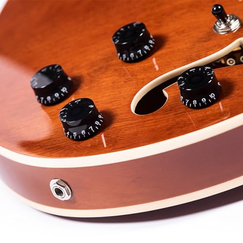 Redid Semi-Hollow Body Electric Guitar RD-100 with F-Hole, Maple Neck, Humbucker Pickups G2932