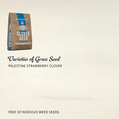 Scotts Tall Fescue Blend Grass Seed with Fertilizer and Soil Improver, 8 lbs A926