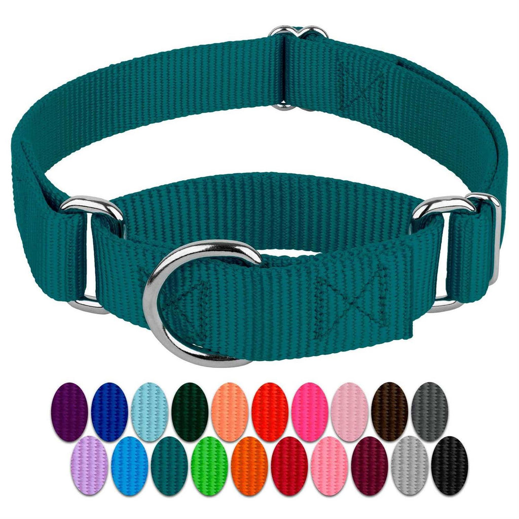 Country Brook Petz Martingale Nylon Dog Collar