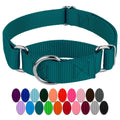 Country Brook Petz Martingale Nylon Dog Collar