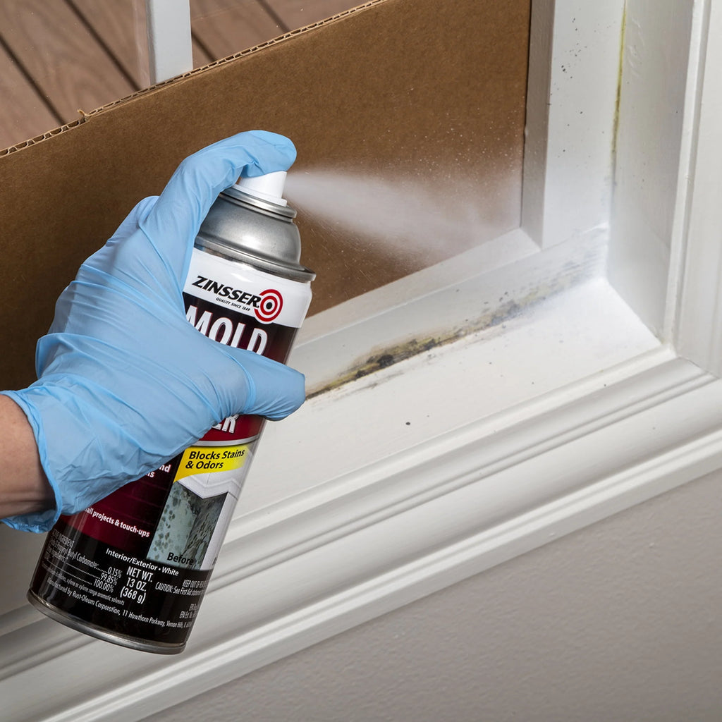 Zinsser Mold Killing Primer Spray 13 oz U676