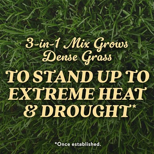 Scotts Tall Fescue Blend Grass Seed with Fertilizer and Soil Improver, 8 lbs A926