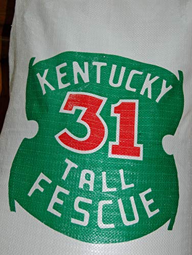Kentucky 31 K31 Tall Fescue Grass Seed by Eretz, State Certified, 3lbs V558812