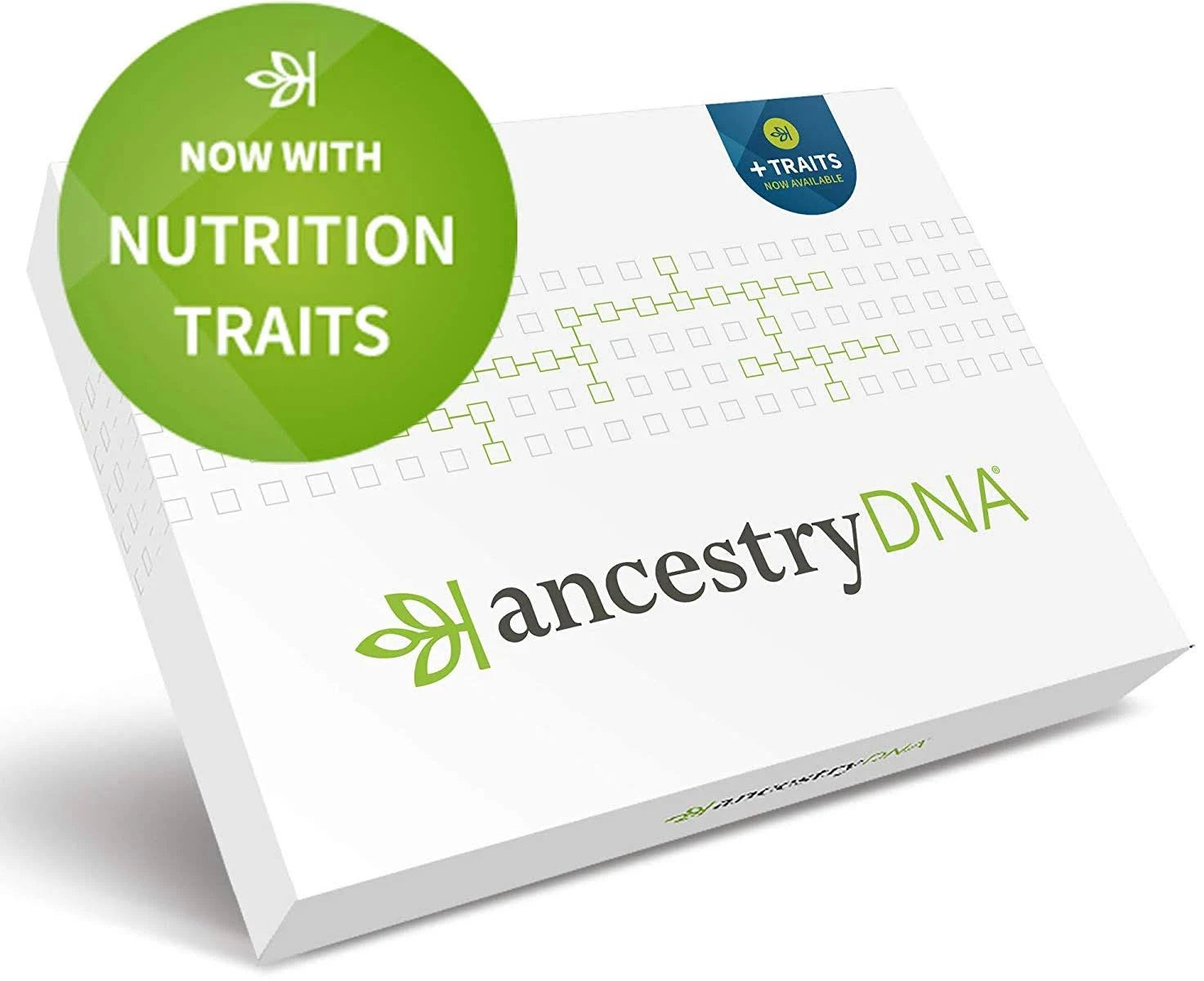 AncestryDNA: Genetic Ethnicity + Traits Test W336583