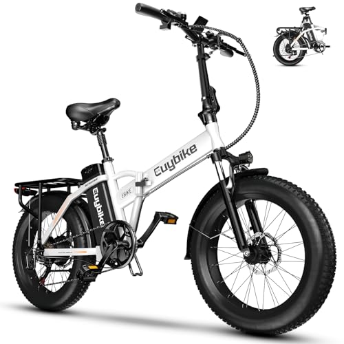 Folding Electric Bike 1000W 48V 20AH Removable Battery 20" Fat Tire for Adults C847123