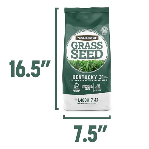Pennington Kentucky 31 Tall Fescue Penkoted Grass Seed 40 lbs V4063