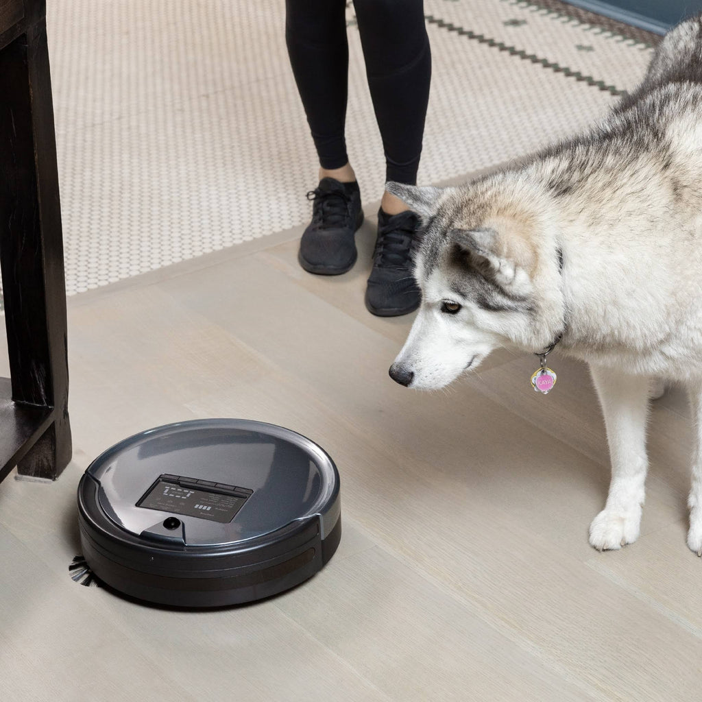 bObsweep Bob PetHair Plus Wet/Dry Robotic Vacuum Charcoal N9714