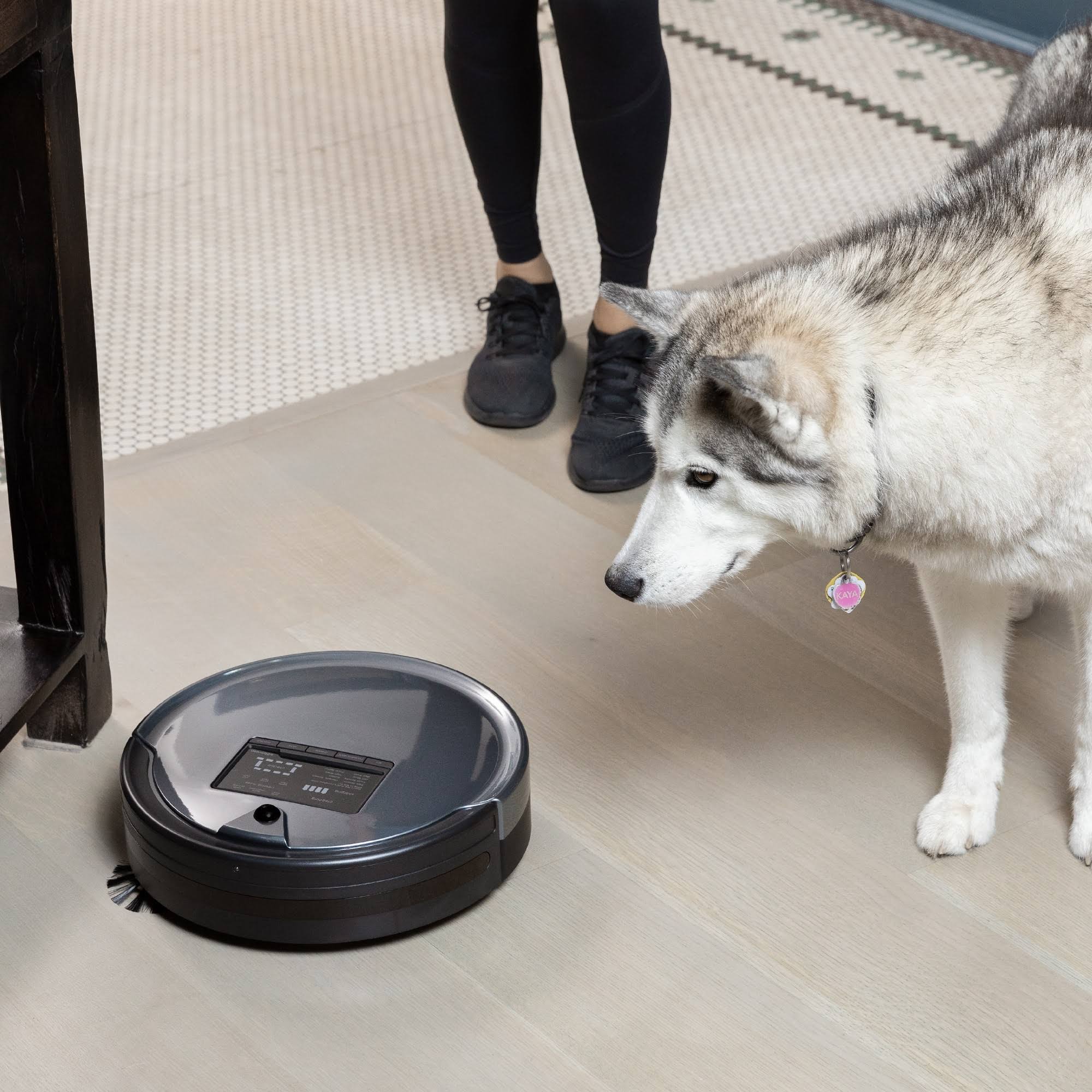 bObsweep Bob PetHair Plus Wet/Dry Robotic Vacuum Charcoal N9714