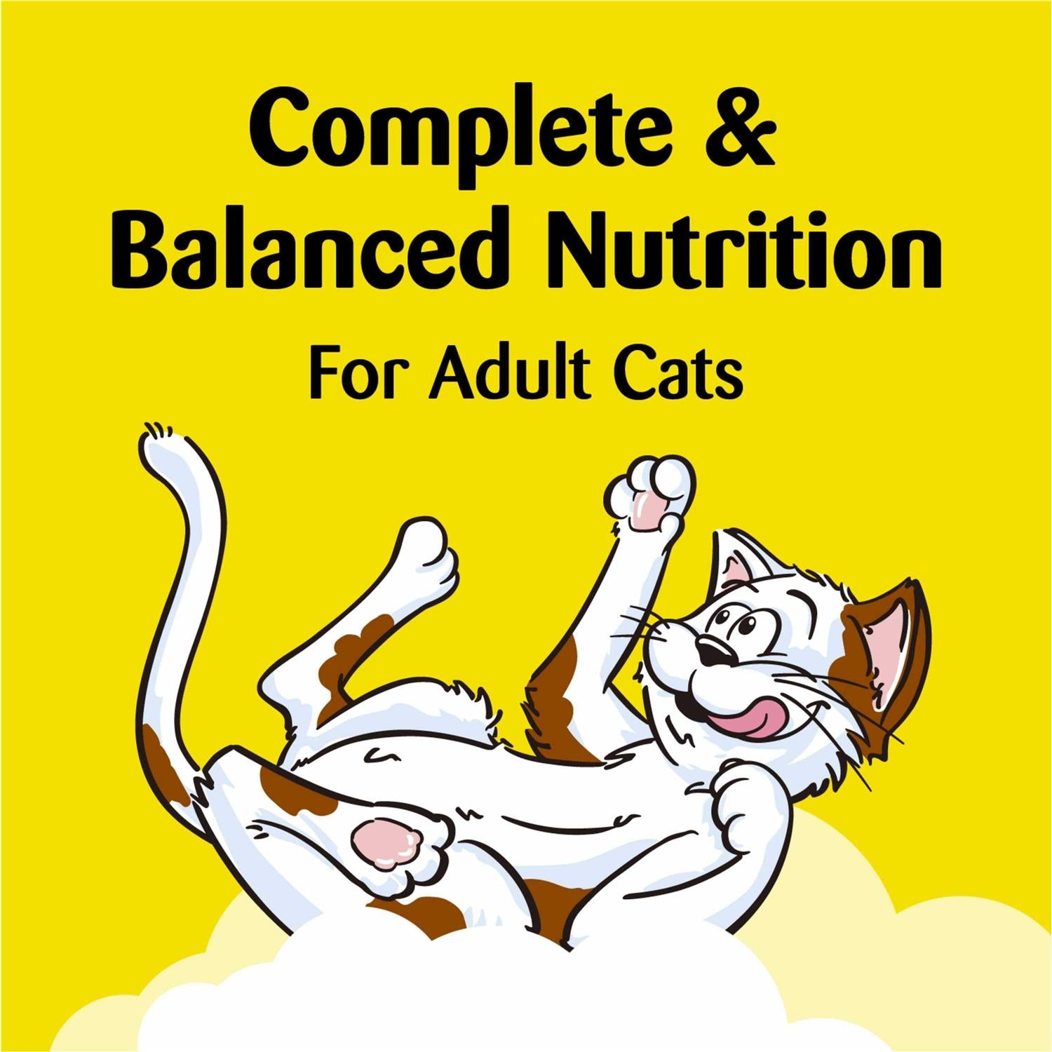 Temptations ShakeUps Crunchy and Soft Cat Treats F614