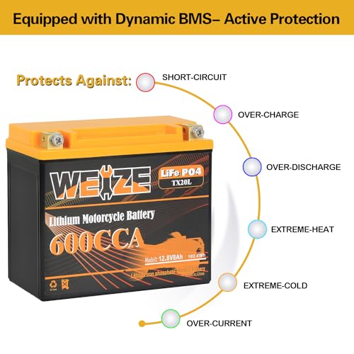Weize Lithium YTX30L-BS 12V 10AH LiFePO4 Motorcycle Battery with Smart BMS E599001