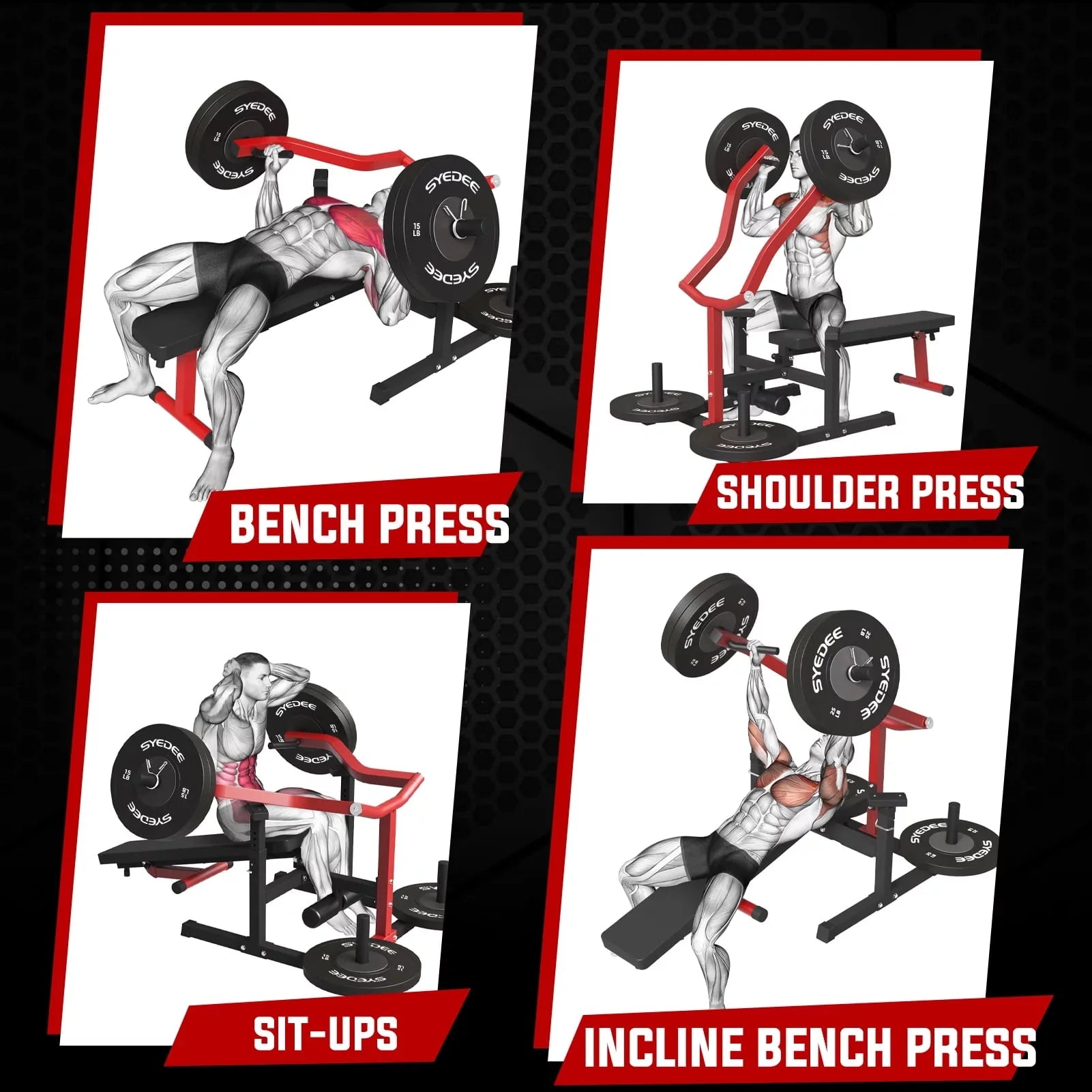 Syedee Chest Press Machine with Adjustable Bench for Home Gym I547