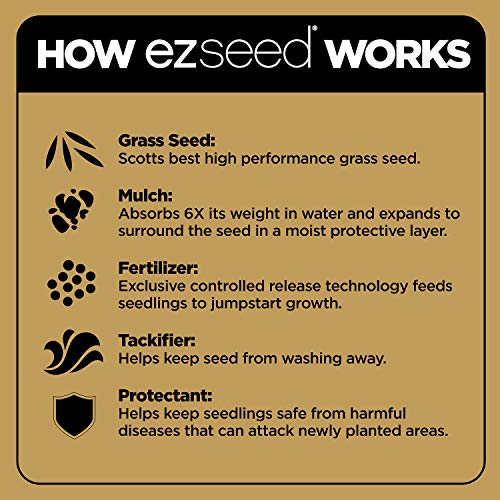 Scotts EZ Seed Patch & Repair Tall Fescue Lawns 10 lb. B1626