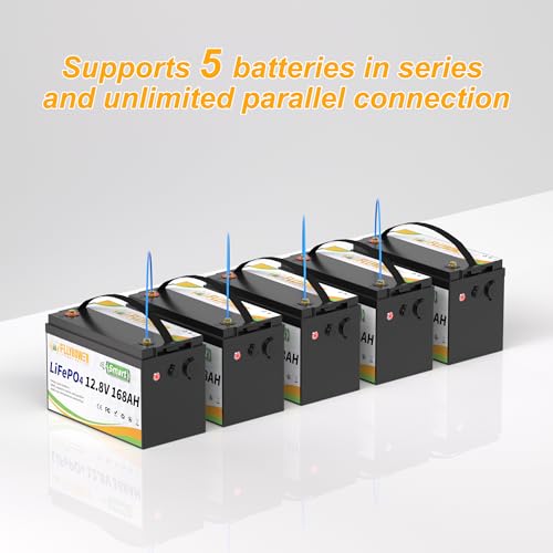 FLLYROWER 12V 100Ah LiFePO4 Battery with BMS for Marine RV Solar I833