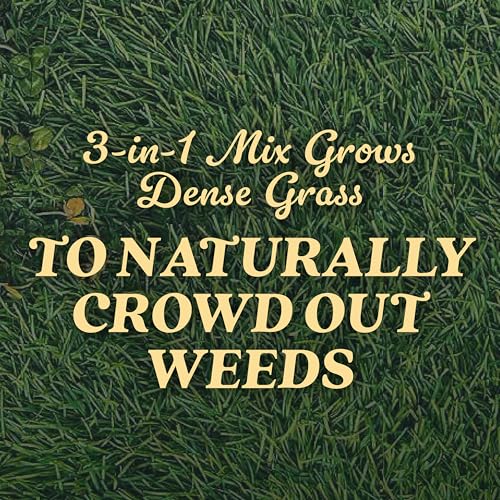 Scotts Tall Fescue Blend Grass Seed with Fertilizer and Soil Improver, 8 lbs A926