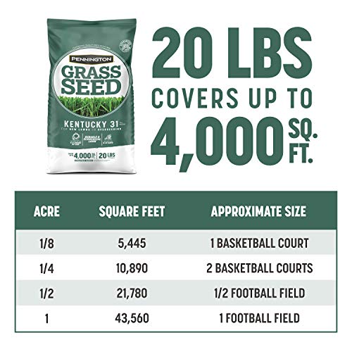 Pennington Kentucky 31 Tall Fescue Penkoted Grass Seed 40 lbs V4063