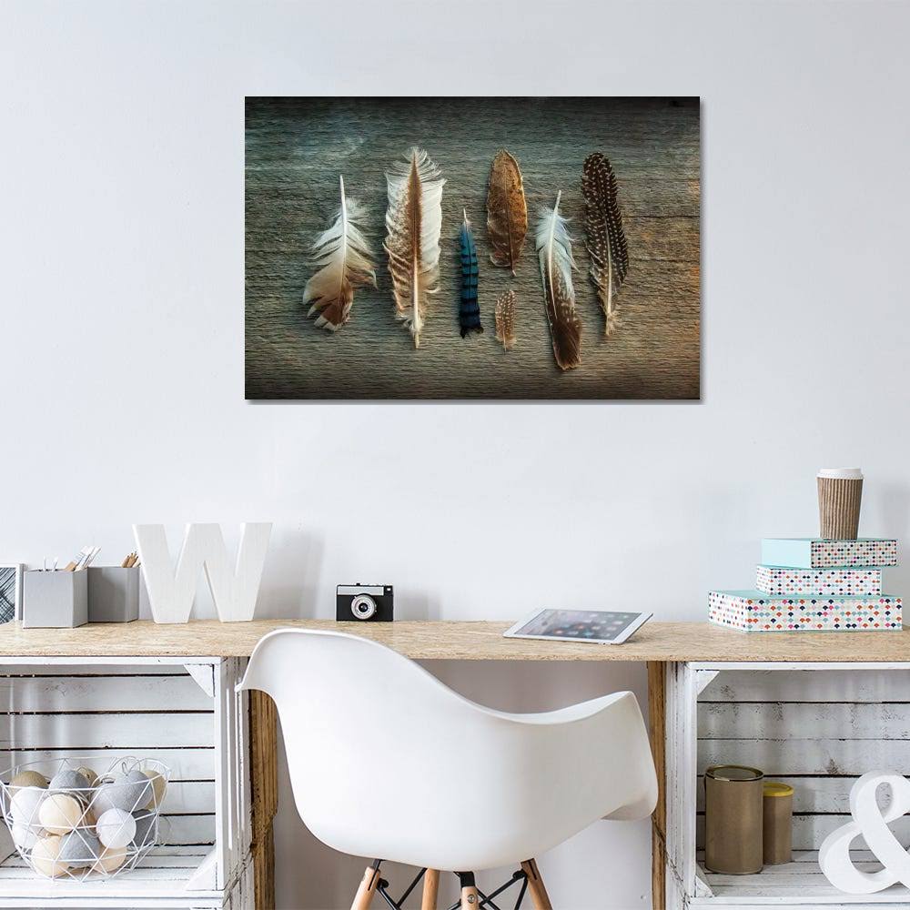 Sue Schlabach Canvas Wall Decor Prints Feather Collection O69386