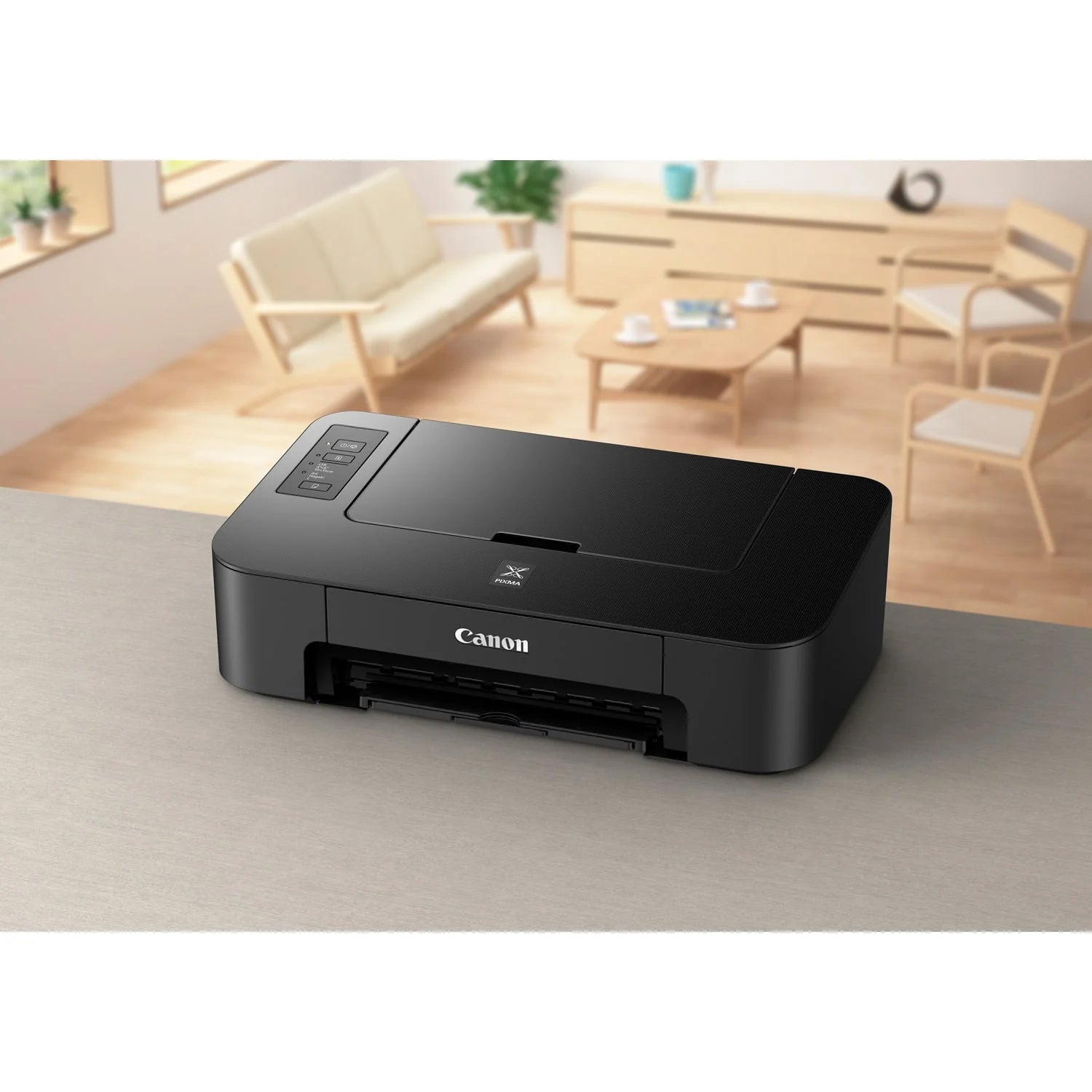 Canon PIXMA TS202 Inkjet Printer Z667282