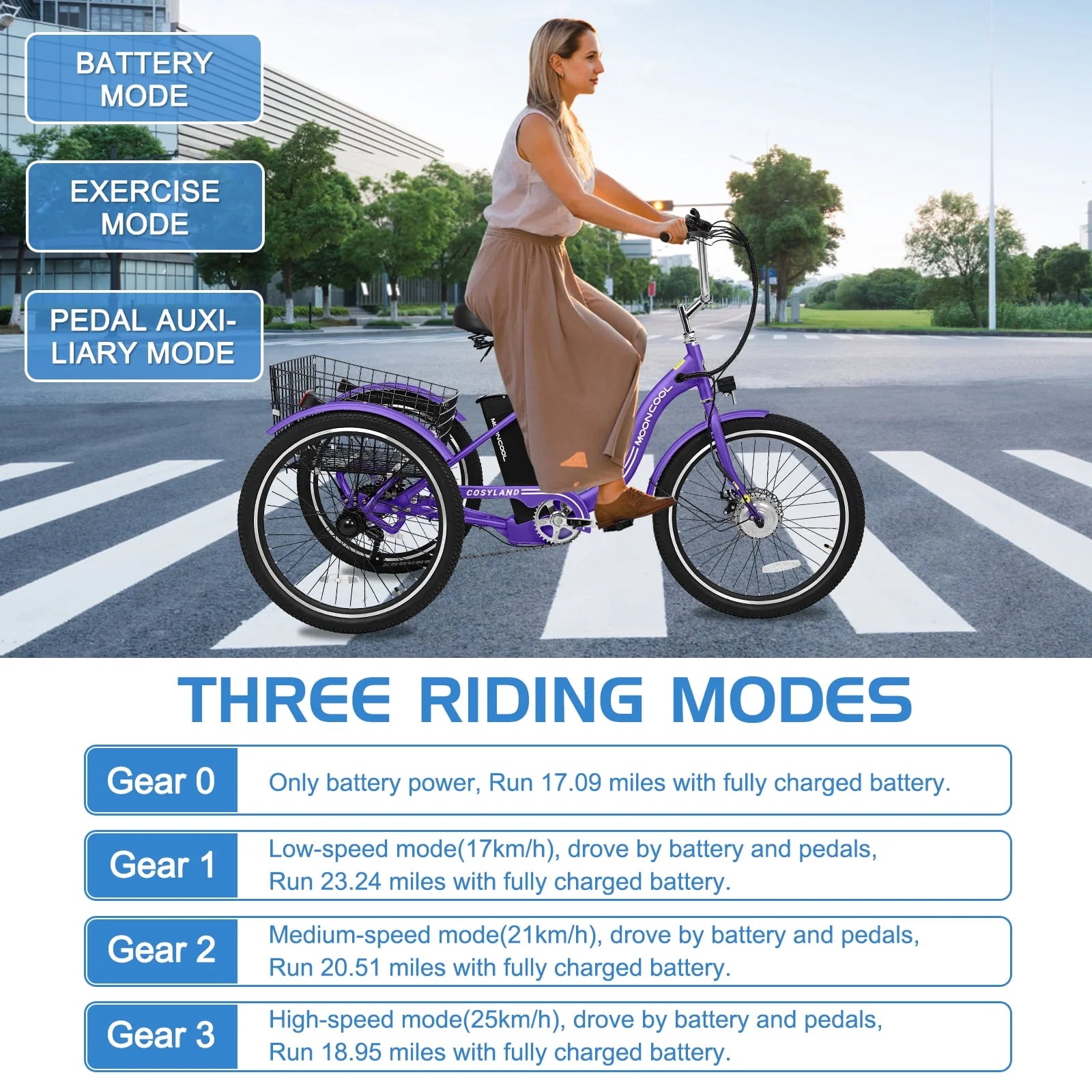 Lilypelle Adult Electric Tricycle 3-Wheel Bike for Seniors E1378