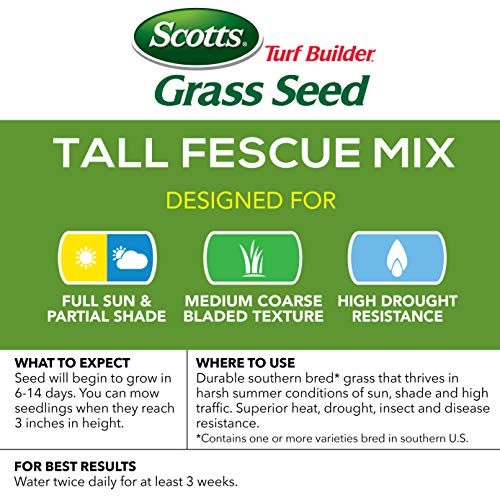 Scotts Turf Builder Tall Fescue Grass Seed Mix with Fertilizer, 5.6 lbs Z3696