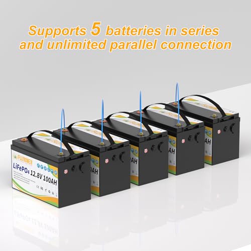 FLLYROWER 12V 100Ah LiFePO4 Battery with BMS for Marine RV Solar I833