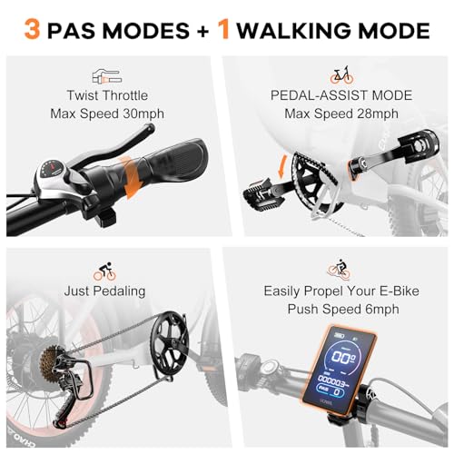 Folding Electric Bike 1000W 48V 20AH Removable Battery 20" Fat Tire for Adults C847123