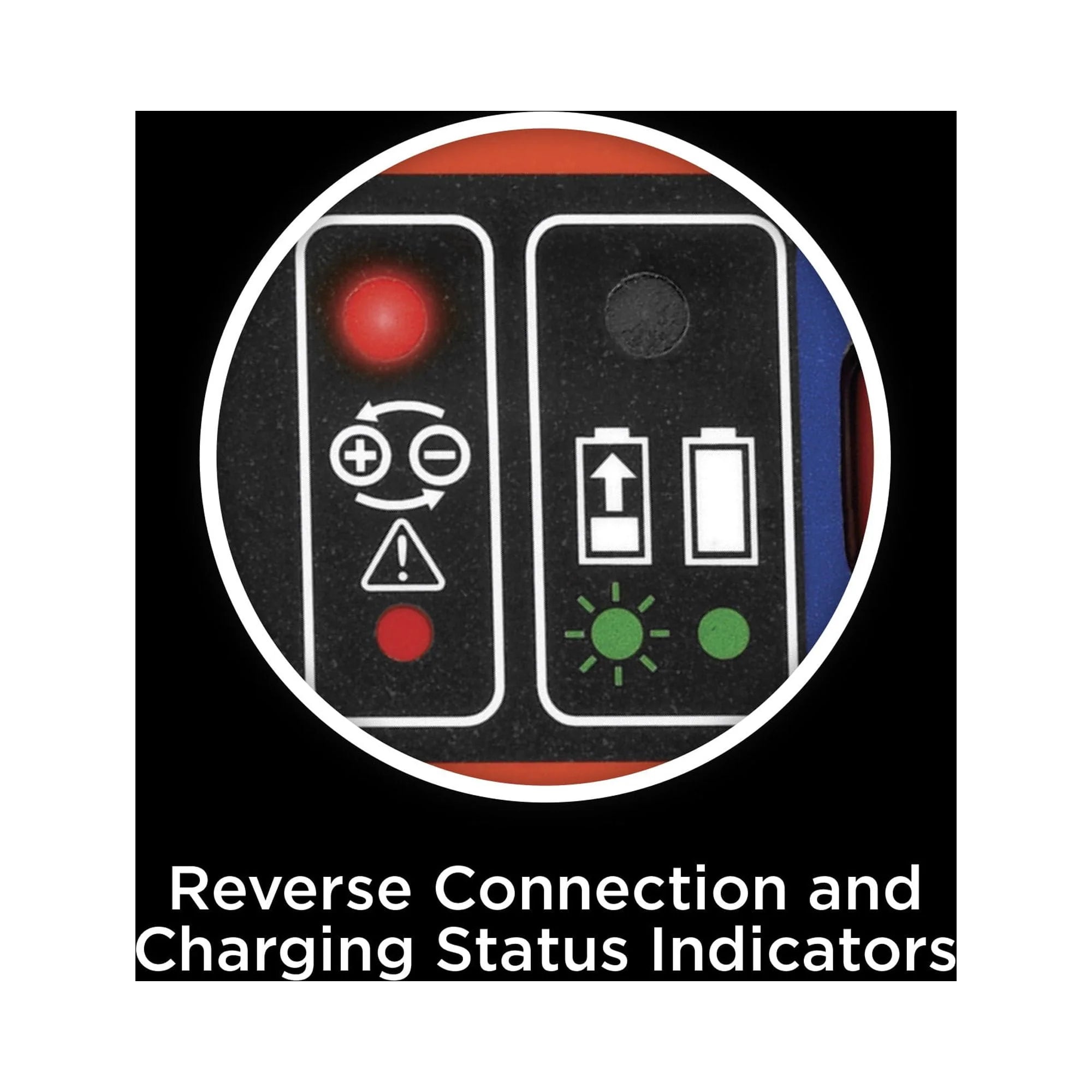 BLACK+DECKER 6V/12V Battery Charger and Maintainer A351668