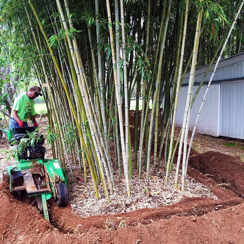 Bamboo Shield 50 ft x 24 in x 60 Mil Bamboo Root Barrier W78453