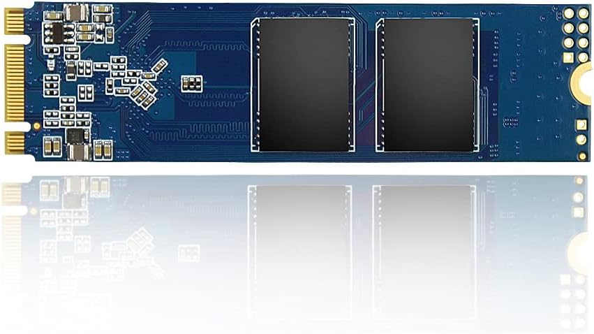 XrayDisk 1TB M.2 SATA III Internal Solid State Drive (Pack of 2) D472