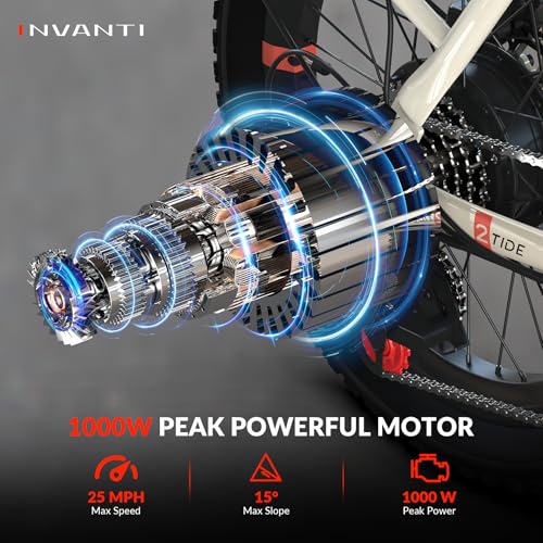 Folding Electric Bike 1000W for Adults, 20" Step-Thru Fat Tire, 7-Speed D6852